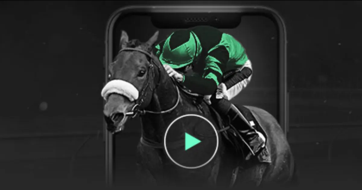 亚冬会火炬,璀璨,精彩赛事盛,世界杯官网地址,世界杯官方网站,世界杯赛事官网,足球世界杯官网,世界杯信息入口