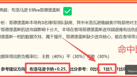 足球盛宴：多德勒支友谊赛深度解析，独家比分大