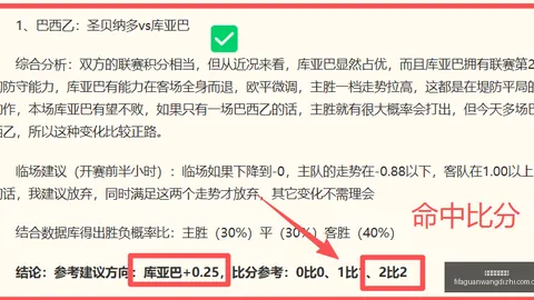 世界杯官网地，足球世界杯官网，址 095631 08